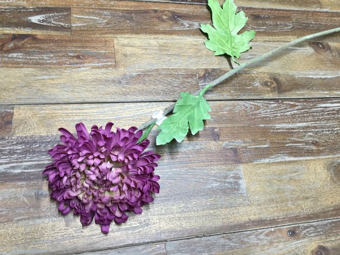 Hovedbilde MR Plant blomst Lilla