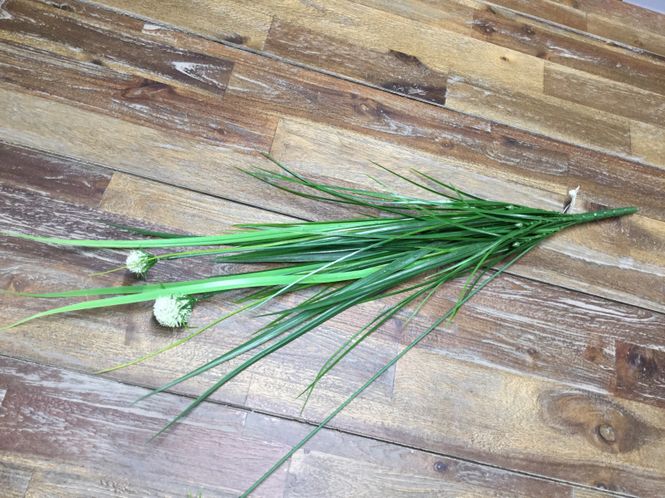 Hovedbilde MR Plant Grønn Gress