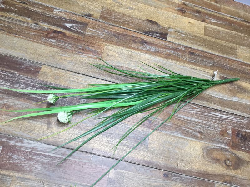 MR Plant Grønn Gress